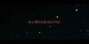 哈士奇拉的屎消化不良