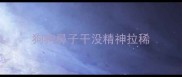 狗狗鼻子干没精神拉稀