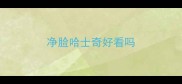 净脸哈士奇好看吗