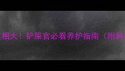 金毛犬咳嗽真相大铲屎官必看养护指南附科学护理全攻略