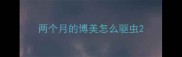 两个月的博美怎么驱虫