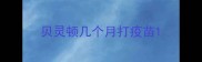 贝灵顿几个月打疫苗