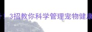 哈士奇体重飙升3招教你科学管理宠物健康饮食运动指南