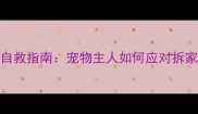 哈士奇拆家自救指南宠物主人如何应对拆家狂魔的日常