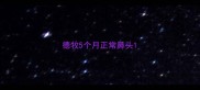 德牧5个月正常鼻头
