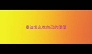 泰迪怎么吃自己的便便