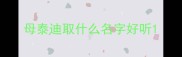 母泰迪取什么名字好听