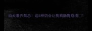 幼犬喂养禁忌这5种奶会让狗狗肠胃崩溃