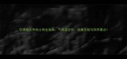 甘肃地区养哈士奇全指南气候适应性政策法规与饲养要点