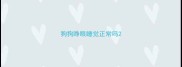 狗狗睁眼睡觉正常吗