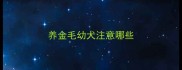 养金毛幼犬注意哪些