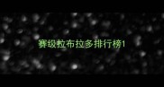 赛级拉布拉多排行榜