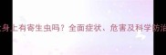 泰迪犬身上有寄生虫吗全面症状危害及科学防治指南