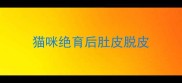 猫咪绝育后肚皮脱皮