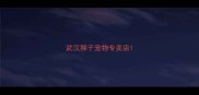 武汉猴子宠物专卖店