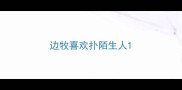 边牧喜欢扑陌生人