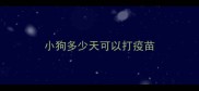 小狗多少天可以打疫苗