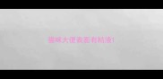 猫咪大便表面有粘液