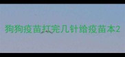 狗狗疫苗打完几针给疫苗本