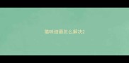 猫咪细菌怎么解决