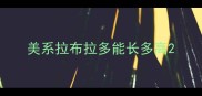 美系拉布拉多能长多高