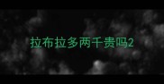 拉布拉多两千贵吗