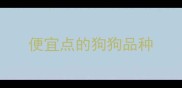 便宜点的狗狗品种