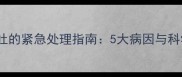 狗狗咳嗽呕吐的紧急处理指南5大病因与科学应对方案