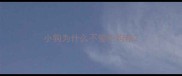 小狗为什么不爱吃狗粮