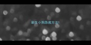 新生小狗急救方法