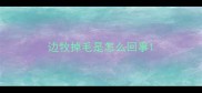 边牧掉毛是怎么回事