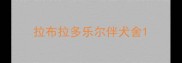 拉布拉多乐尔伴犬舍