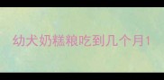 幼犬奶糕粮吃到几个月