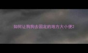 如何让狗狗去固定的地方大小便