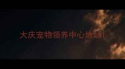大庆宠物领养中心地址