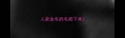 人家金毛的毛顺下来