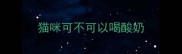猫咪可不可以喝酸奶