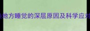 猫咪换地方睡觉的深层原因及科学应对指南
