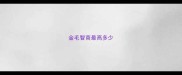 金毛智商最高多少