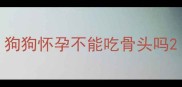 狗狗怀孕不能吃骨头吗
