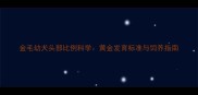 金毛幼犬头部比例科学黄金发育标准与饲养指南
