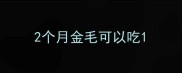 2个月金毛可以吃