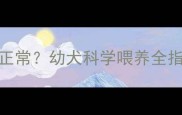 萨摩耶3个月12斤是否正常幼犬科学喂养全指南附成长标准表