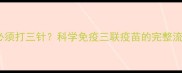 幼犬疫苗为何必须打三针科学免疫三联疫苗的完整流程与注意事项