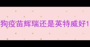 狗疫苗辉瑞还是英特威好