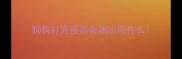 狗狗打完疫苗会测出阳性么