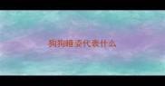 狗狗睡姿代表什么