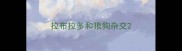 拉布拉多和狼狗杂交