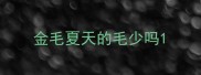 金毛夏天的毛少吗