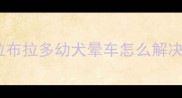 拉布拉多幼犬晕车怎么解决